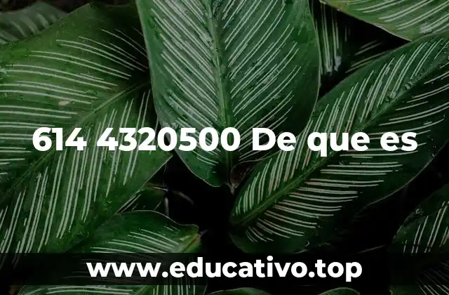 El papel de los códigos de área en México