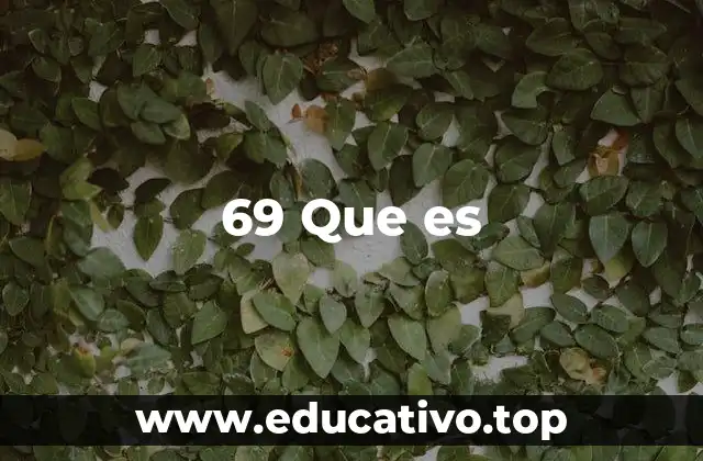 69 Que es