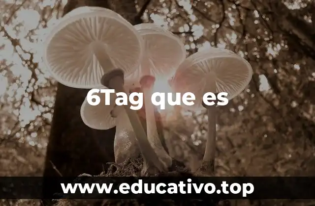 6Tag que es