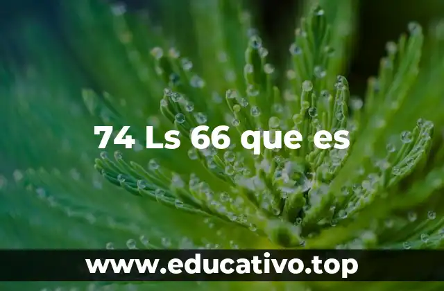 74 Ls 66 que es