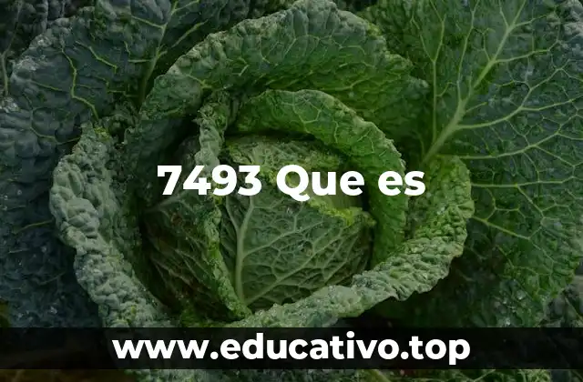 7493 Que es