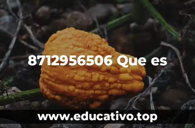 8712956506 Que es