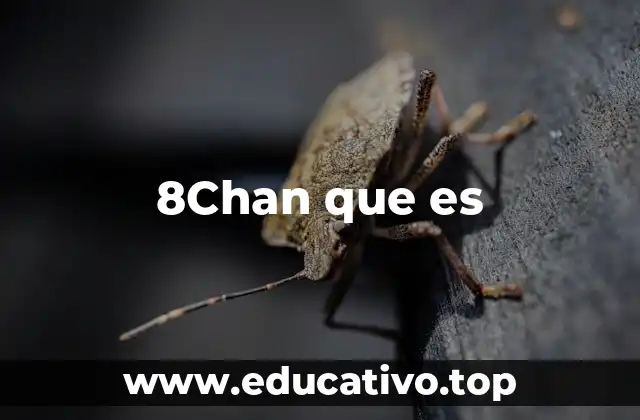 8Chan que es
