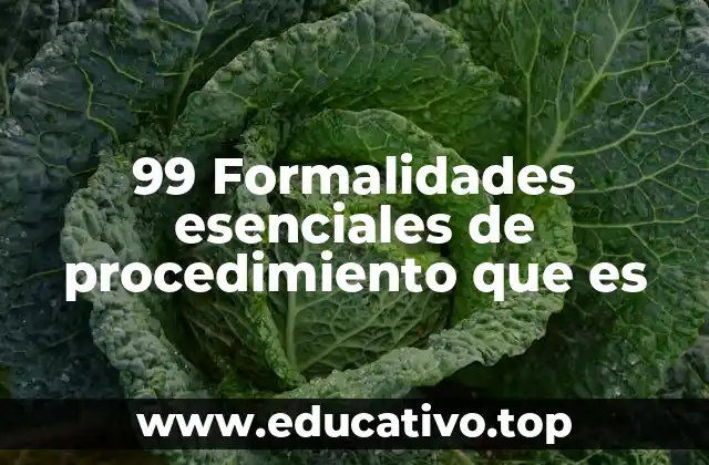 99 Formalidades esenciales de procedimiento que es