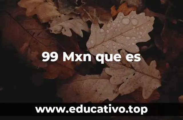 99 Mxn que es