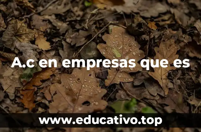 A.c en empresas que es
