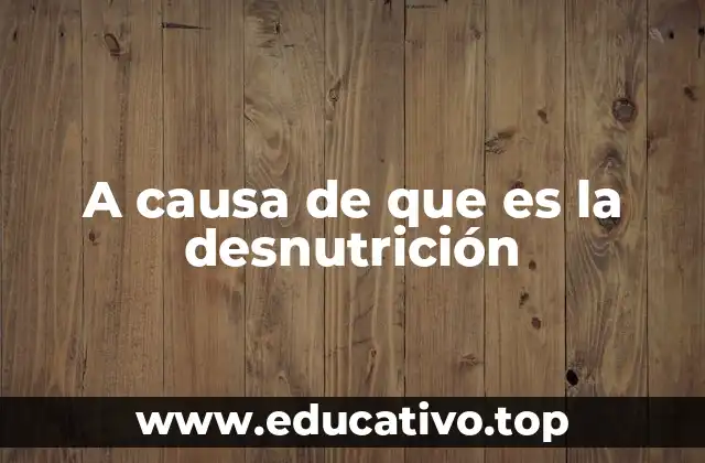 A causa de que es la desnutrición