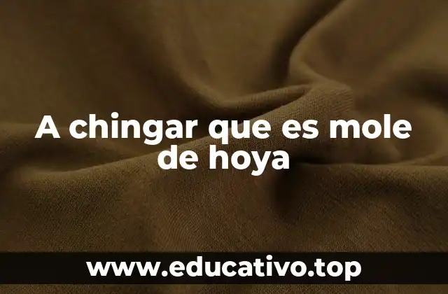 A chingar que es mole de hoya