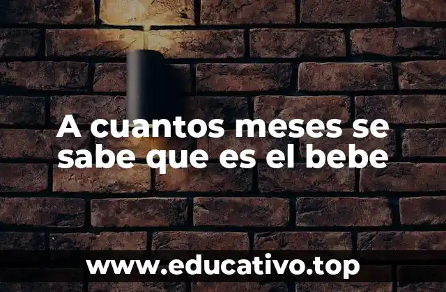 El desarrollo fetal y la identificación del sexo en el embarazo