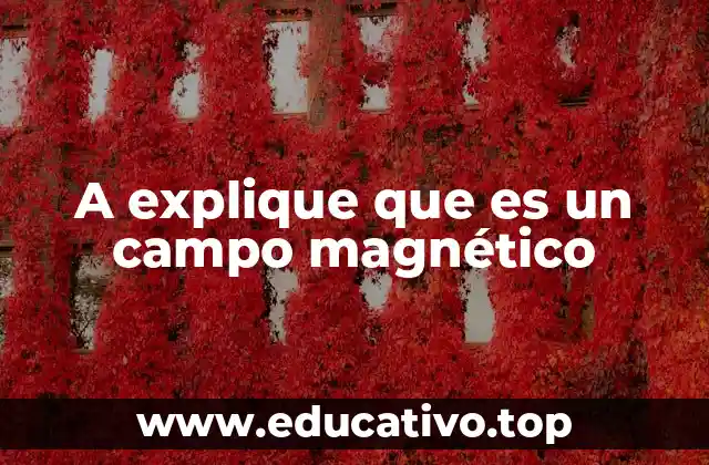 A explique que es un campo magnético