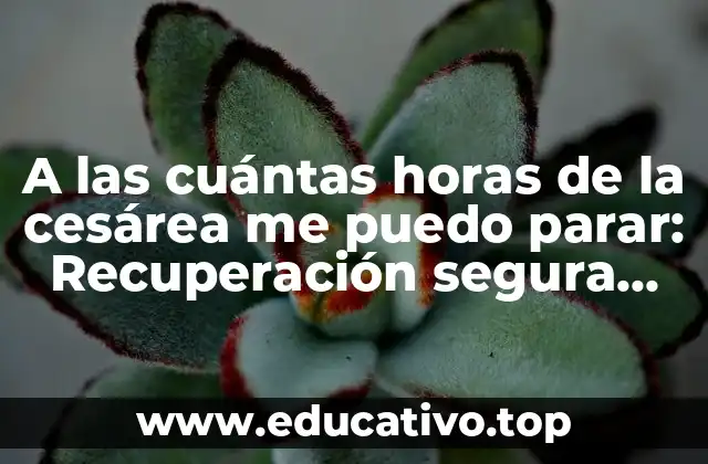 A las cuántas horas de la cesárea me puedo parar: Recuperación segura después del parto