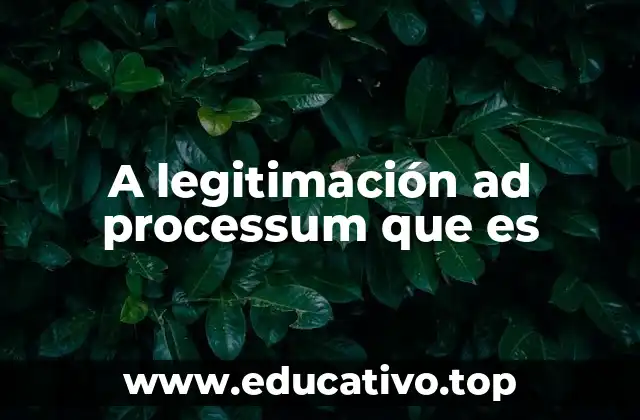 A legitimación ad processum que es