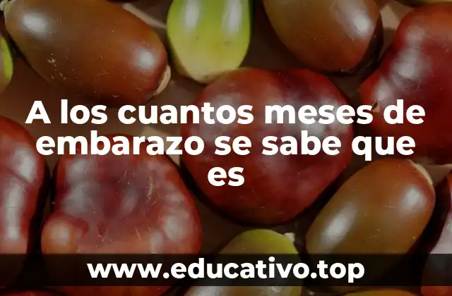 A los cuantos meses de embarazo se sabe que es