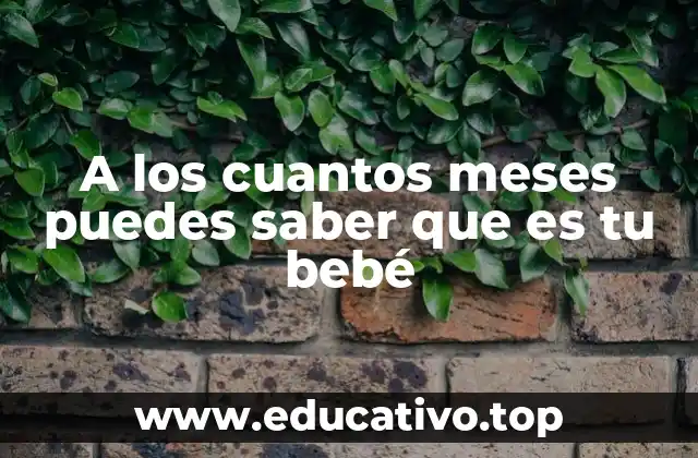 A los cuantos meses puedes saber que es tu bebé