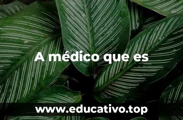 A médico que es
