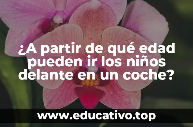 ¿A partir de qué edad pueden ir los niños delante en un coche?