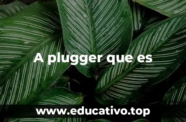 A plugger que es