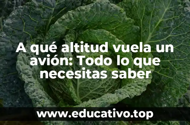 A qué altitud vuela un avión: Todo lo que necesitas saber