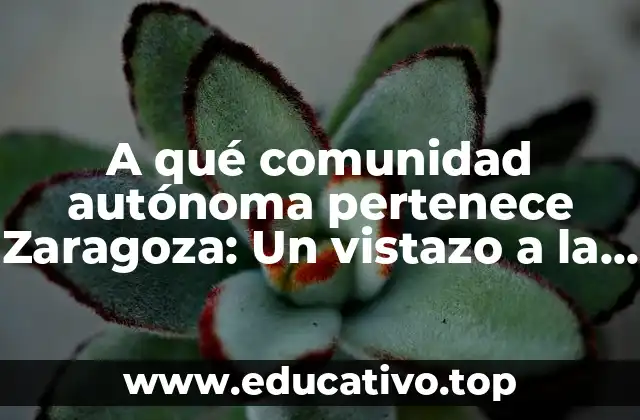 A qué comunidad autónoma pertenece Zaragoza: Un vistazo a la región de Aragón