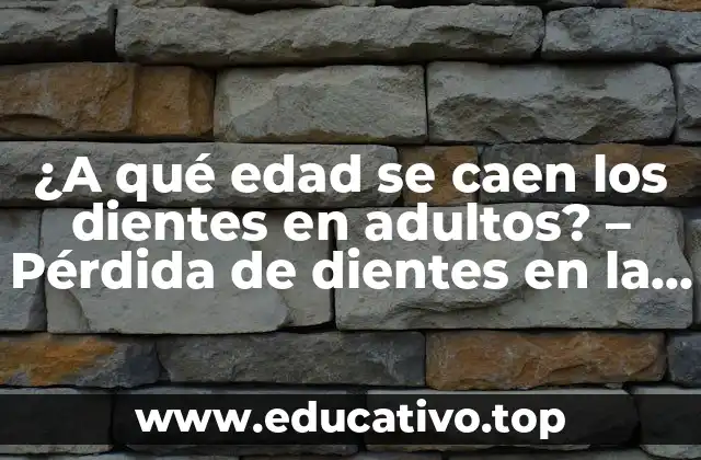 ¿A qué edad se caen los dientes en adultos? – Pérdida de dientes en la adultez