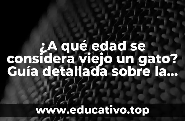 ¿A qué edad se considera viejo un gato? Guía detallada sobre la vejez en gatos