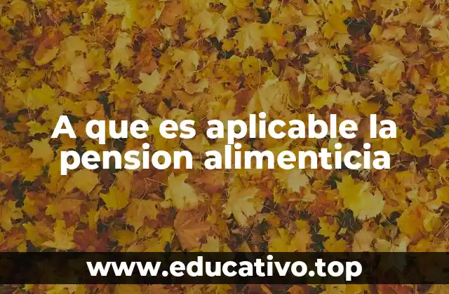El alcance de la pensión alimenticia en diferentes contextos