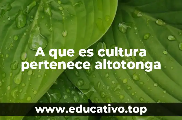 A que es cultura pertenece altotonga