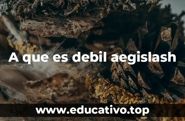 A que es debil aegislash