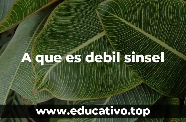 A que es debil sinsel