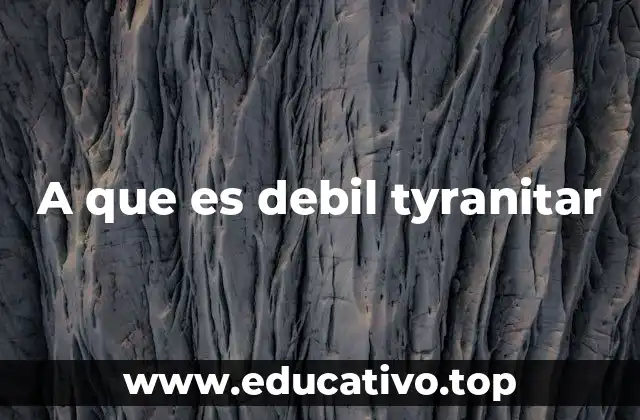 A que es debil tyranitar