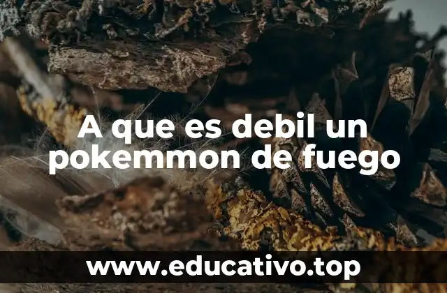 A que es debil un pokemmon de fuego