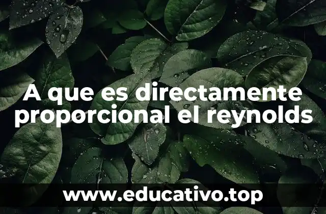 A que es directamente proporcional el reynolds