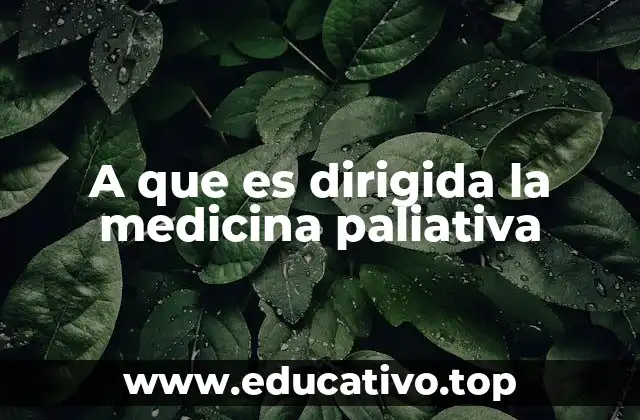 A que es dirigida la medicina paliativa