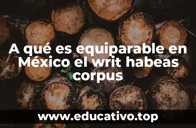 A qué es equiparable en México el writ habeas corpus