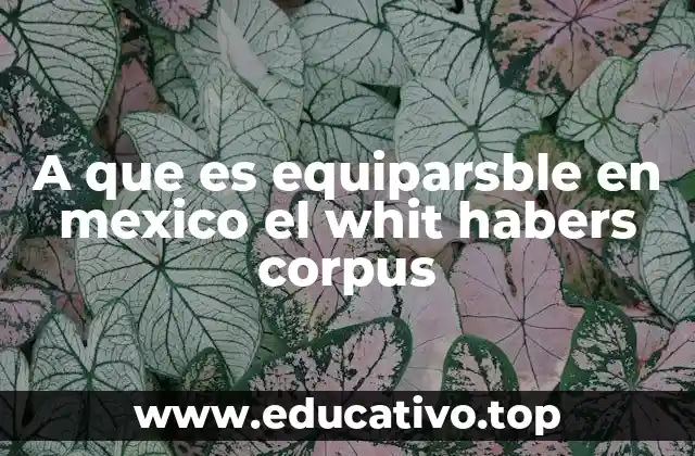 A que es equiparsble en mexico el whit habers corpus