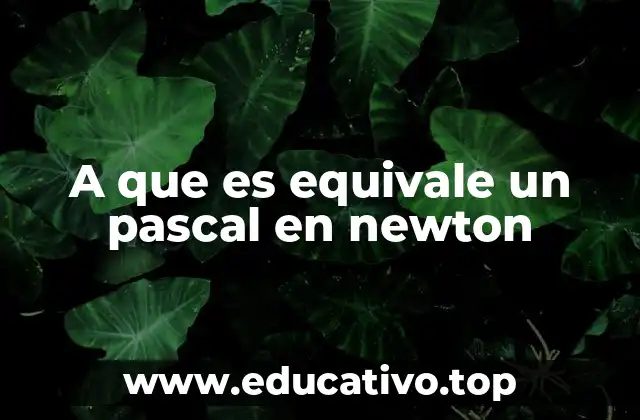 A que es equivale un pascal en newton