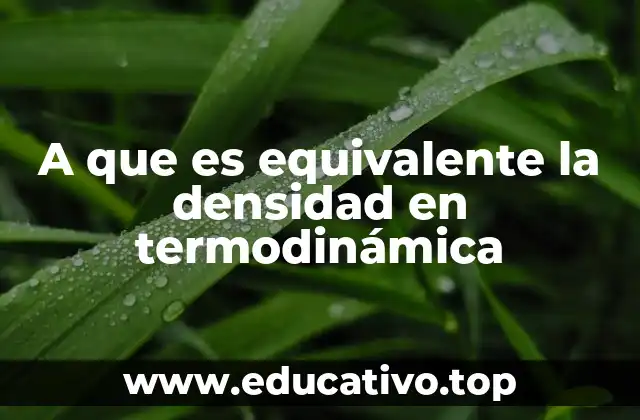A que es equivalente la densidad en termodinámica