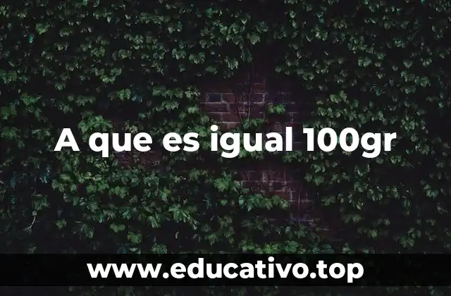 A que es igual 100gr