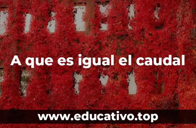 A que es igual el caudal