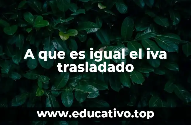 A que es igual el iva trasladado