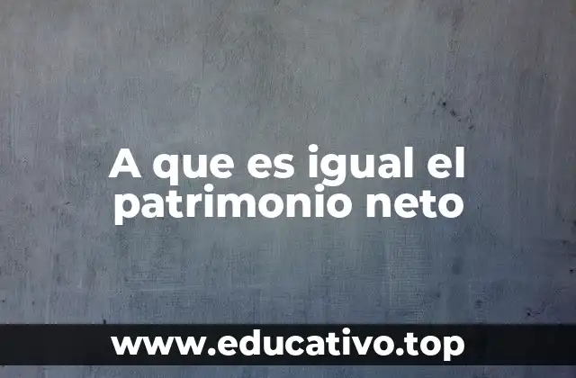 A que es igual el patrimonio neto