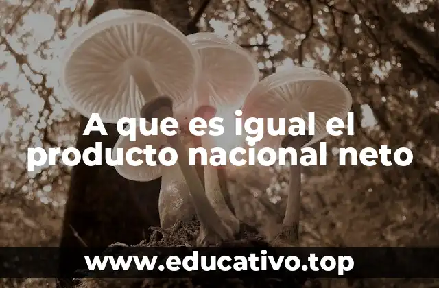A que es igual el producto nacional neto