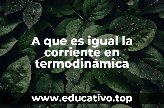 La relación entre flujo y gradientes en termodinámica