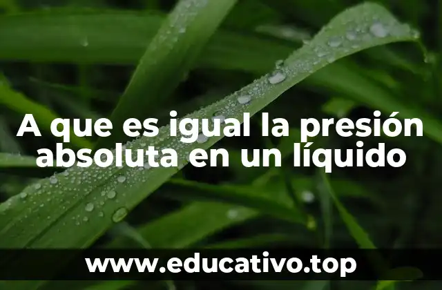 A que es igual la presión absoluta en un líquido