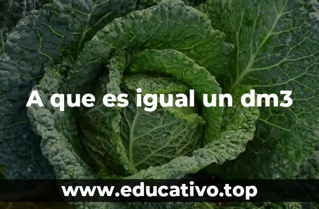 A que es igual un dm3