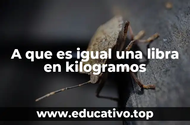 A que es igual una libra en kilogramos