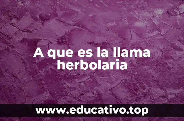 El fuego y las hierbas como herramientas espirituales