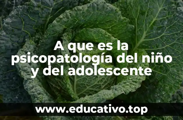A que es la psicopatología del niño y del adolescente