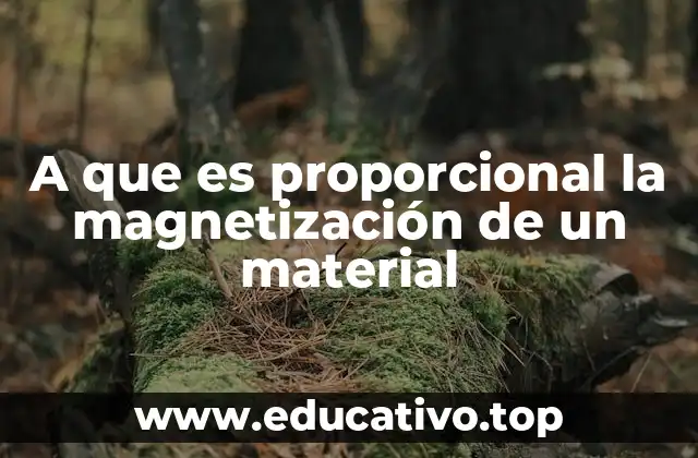 A que es proporcional la magnetización de un material