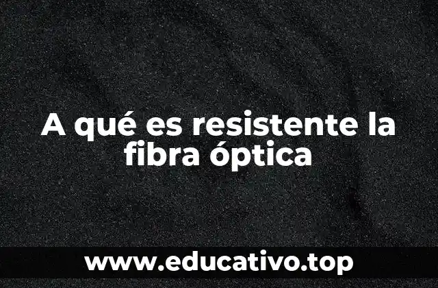 A qué es resistente la fibra óptica